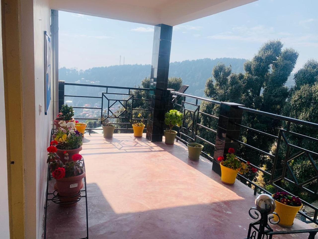 Oasis Guest House Bhagsu D'Shala Dharamshala Ngoại thất bức ảnh