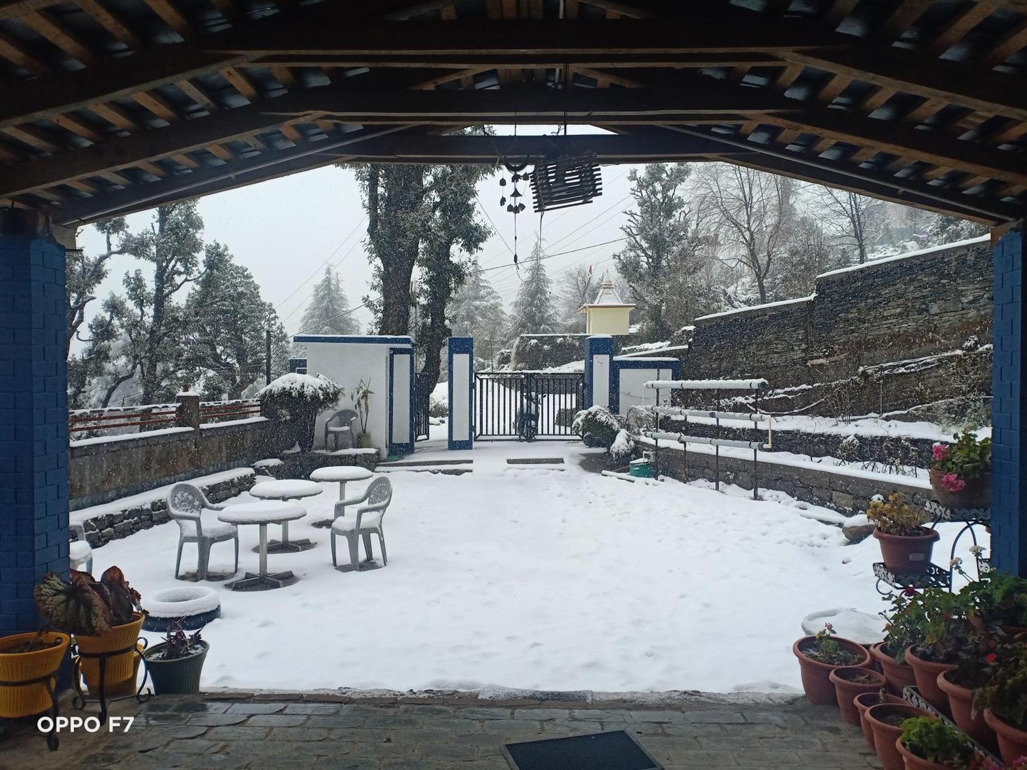 Oasis Guest House Bhagsu D'Shala Dharamshala Ngoại thất bức ảnh