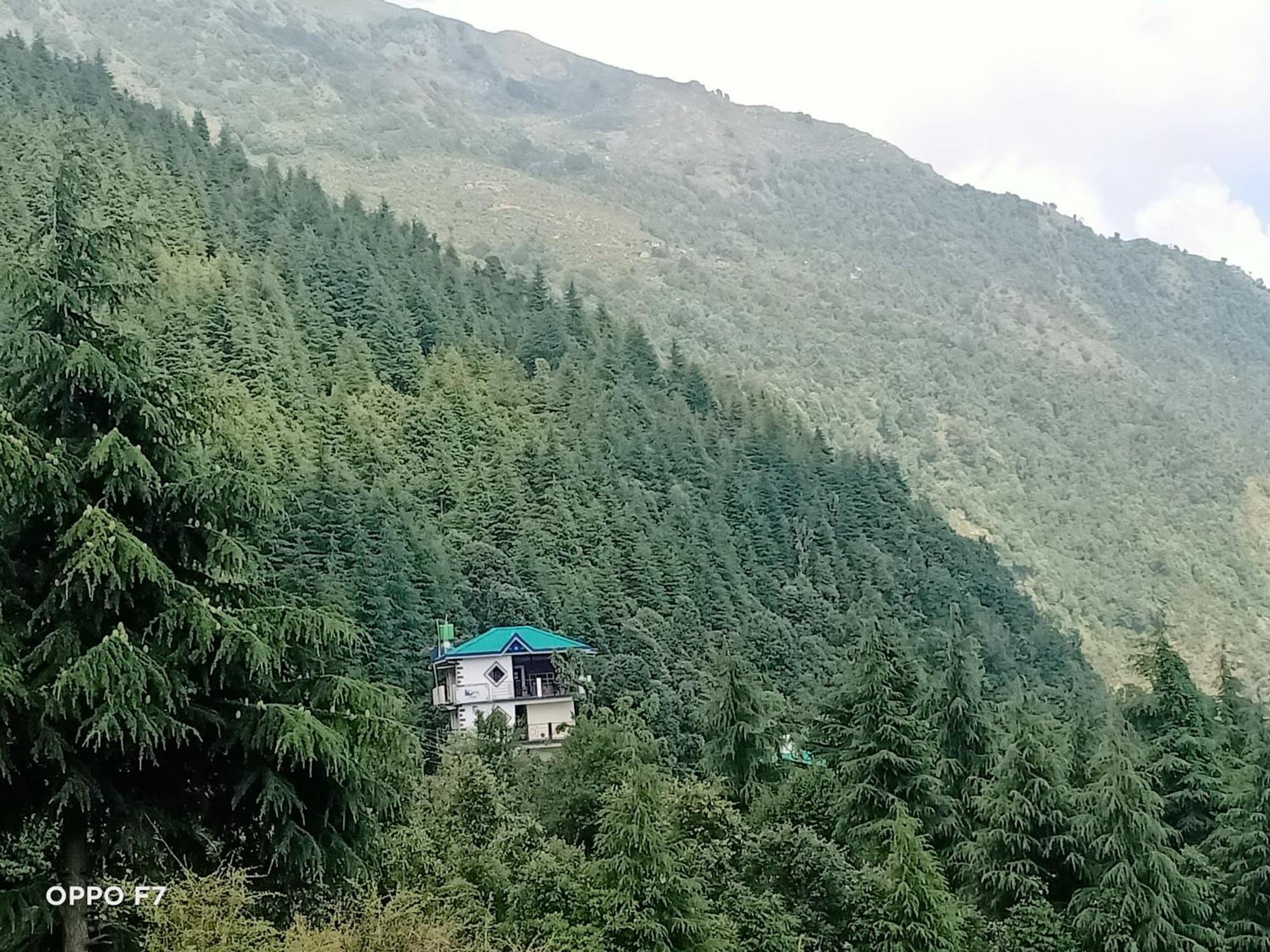 Oasis Guest House Bhagsu D'Shala Dharamshala Ngoại thất bức ảnh